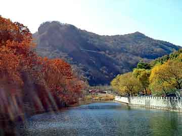 澳门二四六天天彩图库，鬼村